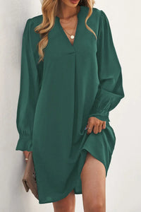 Thumbnail for Black Split V Neck Ruffled Sleeves Shirt Dress-26