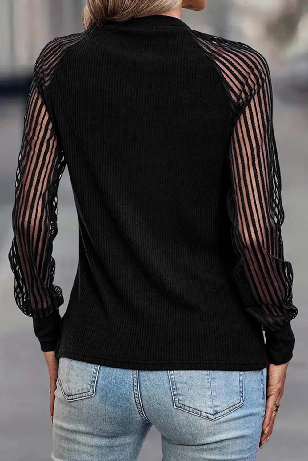 Black Striped Mesh Long Sleeve Crewneck Ribbed Top-26